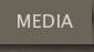 Media Link