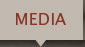 Media Link
